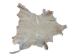 Lining Grade Lamb Slink: Off-White - 78-50-3CWH (Y1GRJ)