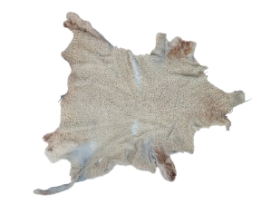 Lining Grade Lamb Slink: Off-White 