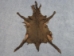 Dyed Garment Grade Broadtail Lambskin: Brown - 78-52-1BR (Y1FRJ)