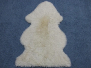 Dyed Australian Sheepskin: Champagne: Assorted 