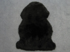 Dyed Australian Sheepskin: Black: Assorted 