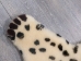 Sheepskin "Leopard" Rug - 78-B701 (Y2GRQ)
