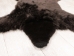 Sheepskin Teddy Bear Rug: Brown - 78-B704 (Y2GXX)