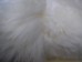 Icelandic Sheepskin Rug: Custom Size - 7W-CUSTOM
