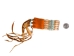 Iroquois 5-Row Bone Bracelet: Baby Blue - 80-201-BB (Y2KC04)