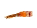 Iroquois 5-Row Bone Bracelet: Red 3 - 80-201-RD3 (Y2KC04)