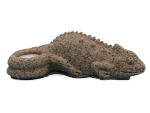 African Sand Candle: Lizard 