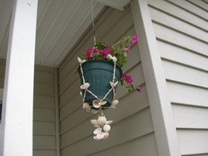 Shell Plant Holder: Large Shells 