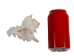 Murex Ramosa Shell: Small - 868-S (Y1MC01)