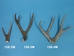 Mule Deer Antler: 4-point - 158-4M (Y1J)
