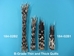 African Porcupine Quill: B-Grade Thin: Assorted - 184-02B2 (L22)