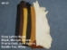 Deerskin Leather: #1/#2: White (sq ft) - 40-01-WH (Y2KRD)