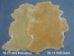 Dyed Australian Sheepskin Shearling: 1": Palomino (sq ft) - 78-11-003 (Y1JRN)