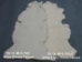 Australian Sheepskin Shearling: 0.75": Natural White: Chrome Tanned (sq ft) - 78-11-W-0.75C