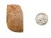Iroquois Soapstone Pocket Pipe: Turtle Design - 102-120-TU (Y1X)