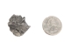 Meteorite Fragments: Medium (g) - 1061-10-M (Y2HC16)