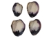Quahog Shells: Extensive Purple - 1080-JWL