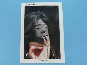Shrunken Head Post Card - Tsantsa 