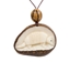 Tagua Nut Necklace: Armadillo Relief - 1153-N354 (Y2H)