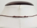 Tagua Nut Necklace: Armadillo Relief #2 - 1153-N354A (Y2HC18)