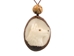 Tagua Nut Necklace: Sled Dog/Siberian Husky - 1153-N772 (Y2H)