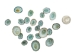 Green Limpet Shells (100/bag) - 1171-100 (Y2HC15)