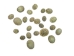 Green Limpet Shells (100/bag) - 1171-100 (Y2HC15)