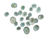 Green Limpet Shells (100/bag) - 1171-100 (Y2HC15)