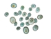 Green Limpet Shells (100/bag) - 1171-100 (Y2H)