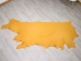 Deertanned Cow Leather: Side: Gold: 5-5.5 oz (sq ft) - 1215-20-PG5 (Y2JRT)