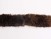 Beaver Fur Strip: #1/2: Natural: 2&quot; wide (ft) - 1263-BV12NA20 (Y1L)