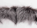 Silver Fox Fur Strip: Natural: 1.5" wide (ft) - 1263-FS01NA15 (Y1LRQ)
