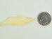 Eagle Feather Bone Pendant with Hole: 2.25" - 128-121B (Y2KC08)
