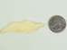 Eagle Feather Bone Pendant with Hole: 2.25" - 128-121B (Y2K)