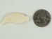 Eagle Feather Bone Pendant with Hole: 1.5" - 128-121S (Y1JC03)