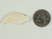 Eagle Feather Bone Pendant with Hole: 1.5" - 128-121S (Y1J)