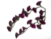 Felt Flower with Stamens Garland - 1298-F19-AS (Y2NRJ)