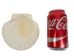 Japanese Scallop Shell: Assorted - 1345-10-AS (Y1GRC)