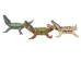 Raffia Crocodile: Small: Assorted - 1347-CRS-AS (Y3LRP)