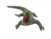 Raffia Crocodile: Small: Assorted - 1347-CRS-AS (Y3LRP)