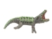 Raffia Crocodile: Small: Assorted - 1347-CRS-AS (Y3LRP)