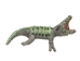Raffia Crocodile: Small: Assorted - 1347-CRS-AS (Y2M)