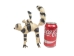Raffia Striped Lemur Mother and Baby: Large: Assorted - 1347-LB2L-AS (Y3LRP)