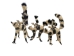 Raffia Striped Lemur Mother and Baby: Large: Assorted - 1347-LB2L-AS (Y3LRP)