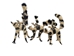 Raffia Striped Lemur Mother and Baby: Large: Assorted - 1347-LB2L-AS (Y2M)