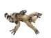 Raffia Striped Lemur Mother and Baby: Large: Assorted - 1347-LB2L-AS (Y3LRP)