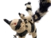 Raffia Striped Lemur Mother and Baby: Large: Assorted - 1347-LB2L-AS (Y3LRP)