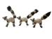 Raffia Spotted Lemur: Small: Assorted - 1347-LE1S-AS (Y3LRO)