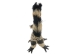 Raffia Spotted Lemur: Small: Assorted - 1347-LE1S-AS (Y3LRO)