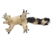 Raffia Spotted Lemur: Small: Assorted - 1347-LE1S-AS (Y3LRO)
